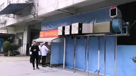 Dr Arie 98% Removal Efficient Commercial Kitchen Cooking Fume Odor Electrostatic Precipitator (ESP)